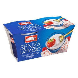 YOGURT ALLA FRAGOLA SENZA LATTOSIO 125 GR X 2