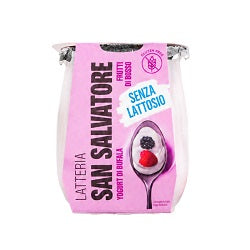 YOGURT DI BUFALA SENZA LATTOSIO FRUTTI DI BOSCO G.110